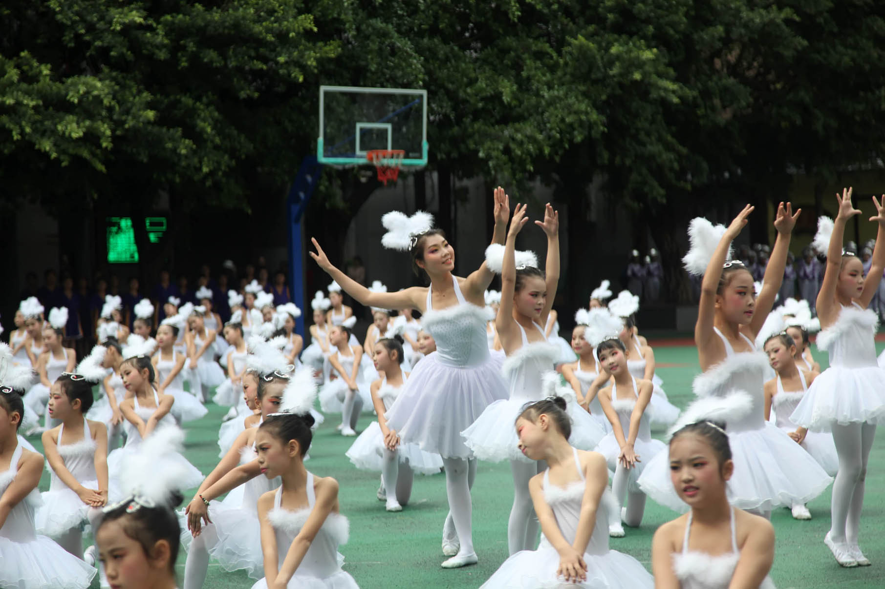 巴州青少年篮球锦标赛,巴州2024青少年篮球比赛