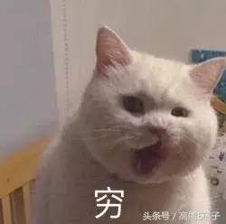 不吃土的美妆品,张天爱彩妆