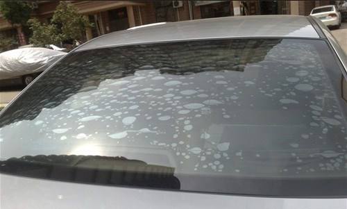 车贴膜车窗边有气泡自己怎么处理,车贴膜有小白点气泡正常吗