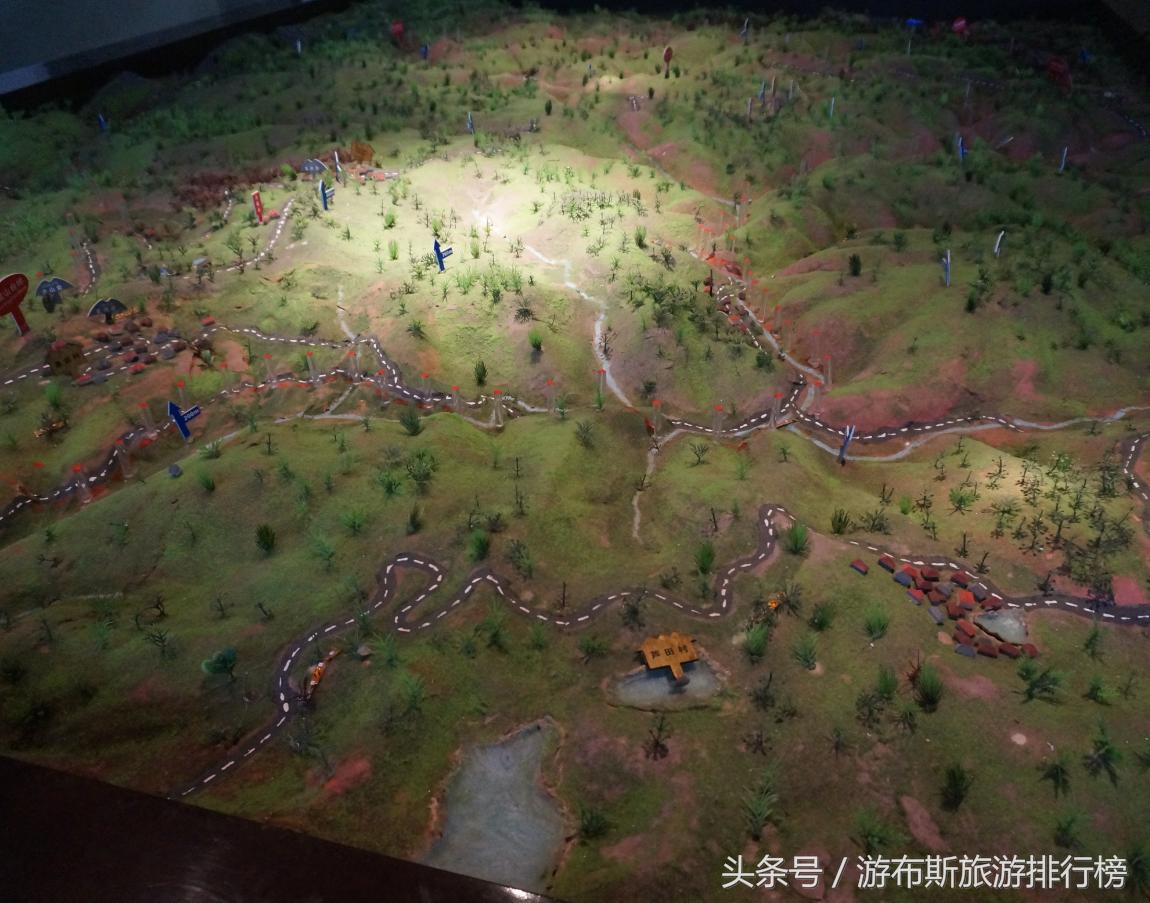 景点美景打卡宁波,宁波十大免费旅游景点四明山