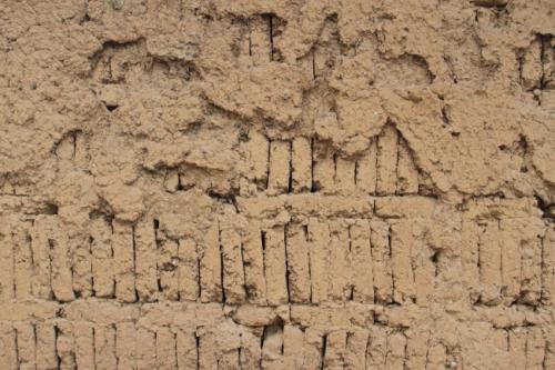 终于找全了，一看就懂的“五行”放置鱼缸秘法让你财源滚滚来