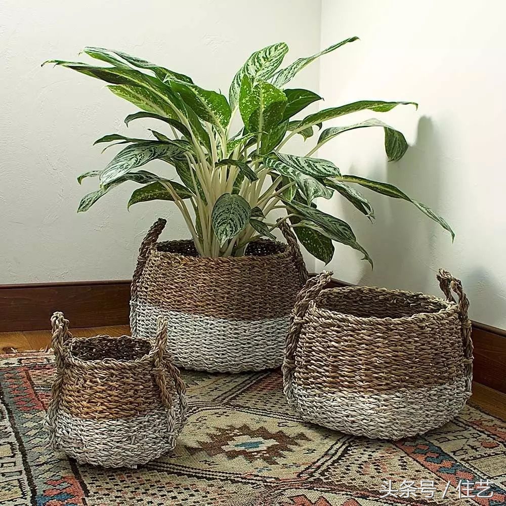 8款“美还不贵”单品推荐，让你家赢在细节｜设计师说