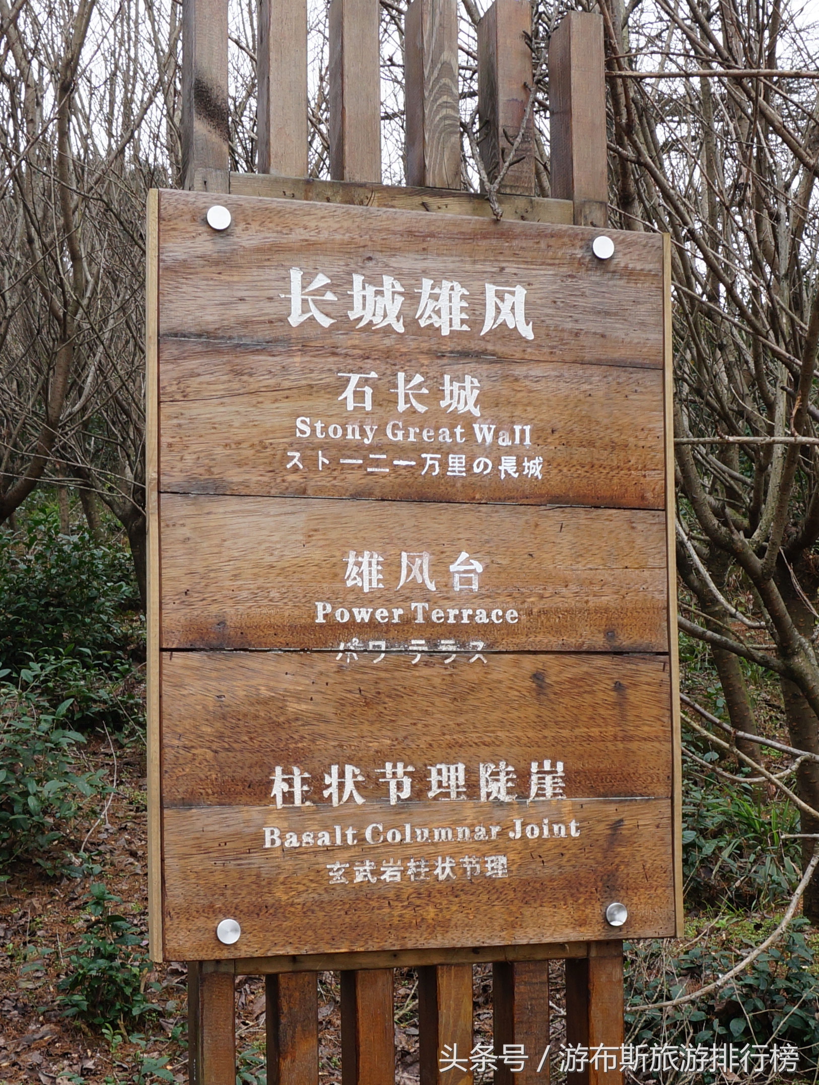 景点美景打卡宁波,宁波十大免费旅游景点四明山