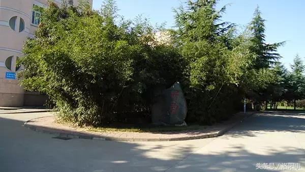 洛阳最有魅力的高中,洛阳市最牛逼的高等专科学校