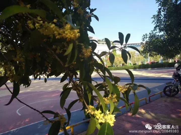 宁化一中90年校庆,宁化一中90周年校庆