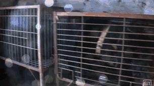 看了让人非常难受的高分电影,这辈子都不想看的电影