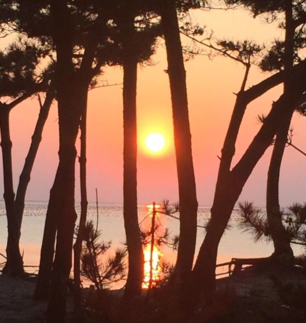 阳光小镇的爱情故事,阳光之城微电影