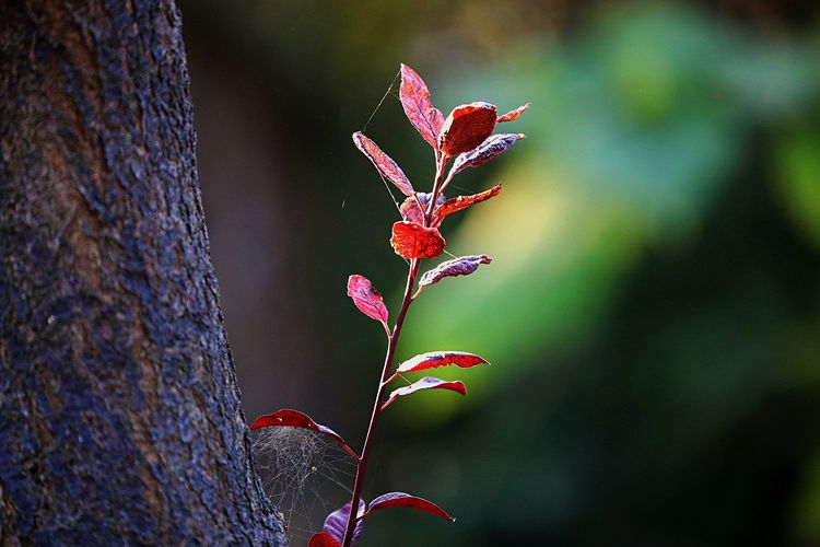 去东湖逛一圈,夏天去东湖哪个景区好玩