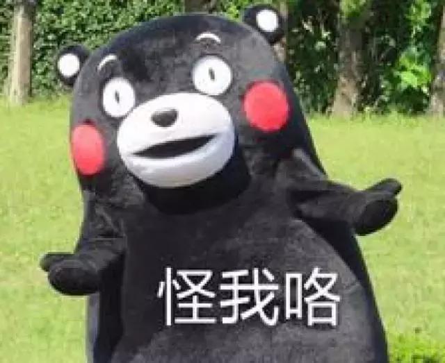 gucci围巾被洗了,gucci羊毛围巾怎么清洗