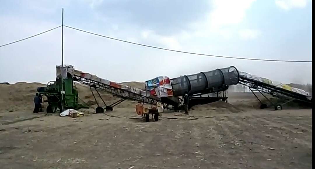 养羊赚钱还是养牛赚钱,养牛应该养什么品种的牛更赚钱