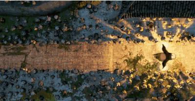 如何去夏威夷工作,在海边工作是什么体验