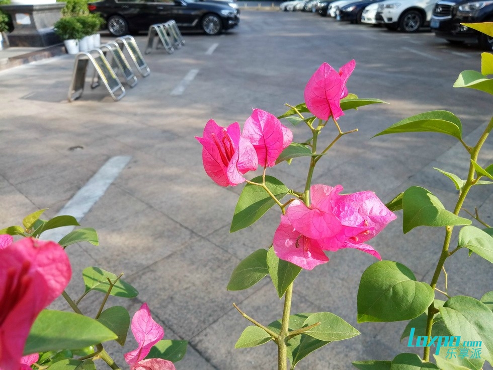 魅蓝6测评能不能流畅吃鸡,魅蓝note6上手测评