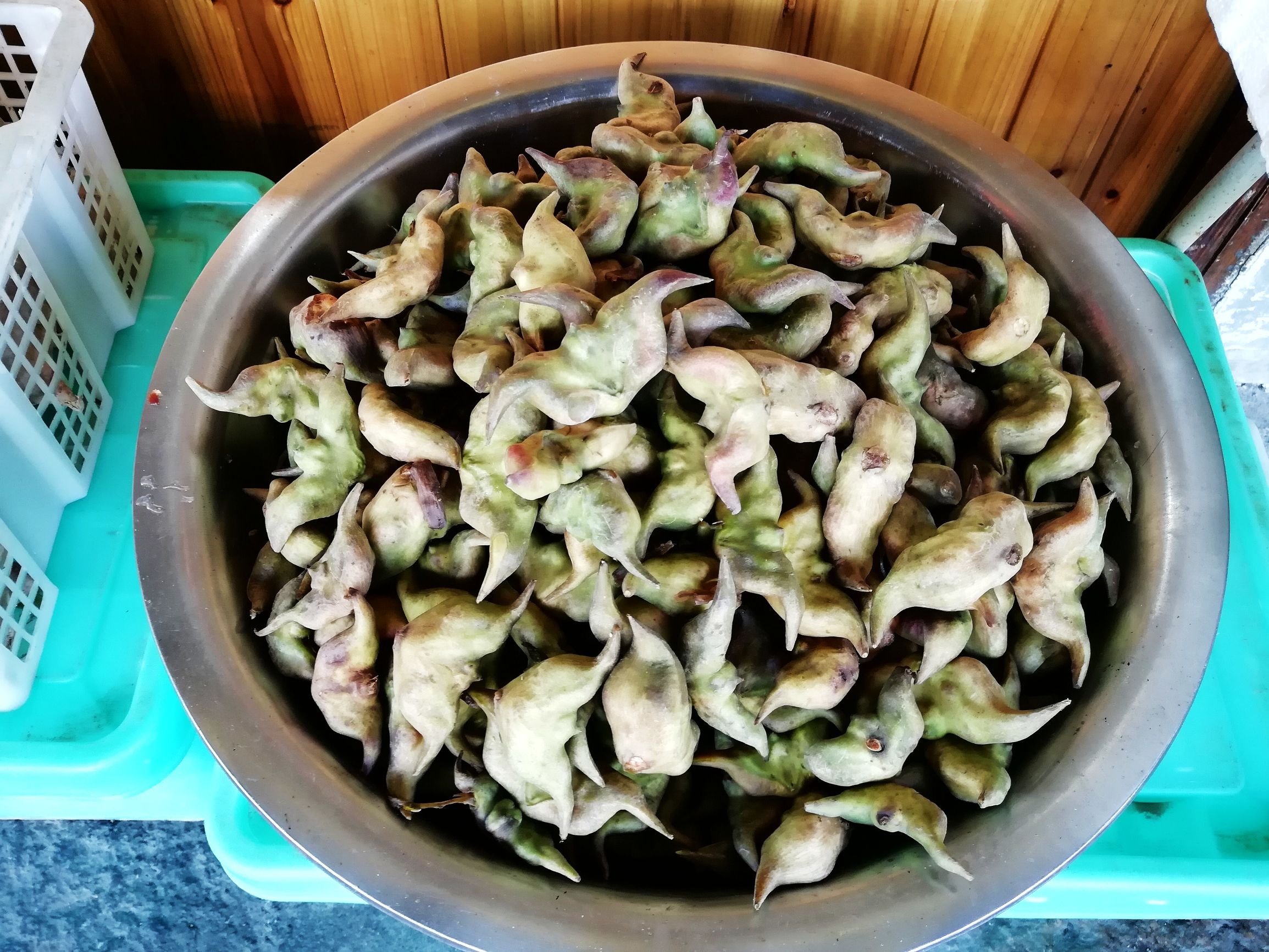 上海好玩地方推荐枫泾古镇,上海金山枫泾古镇地址