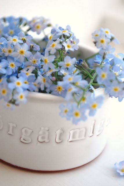 知足常乐不攀比文案,知足常乐不攀比只要自己尽了力