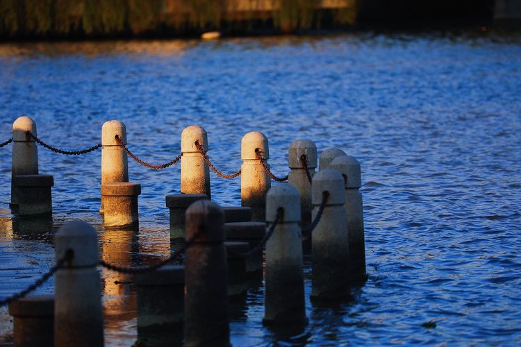 去东湖逛一圈,夏天去东湖哪个景区好玩