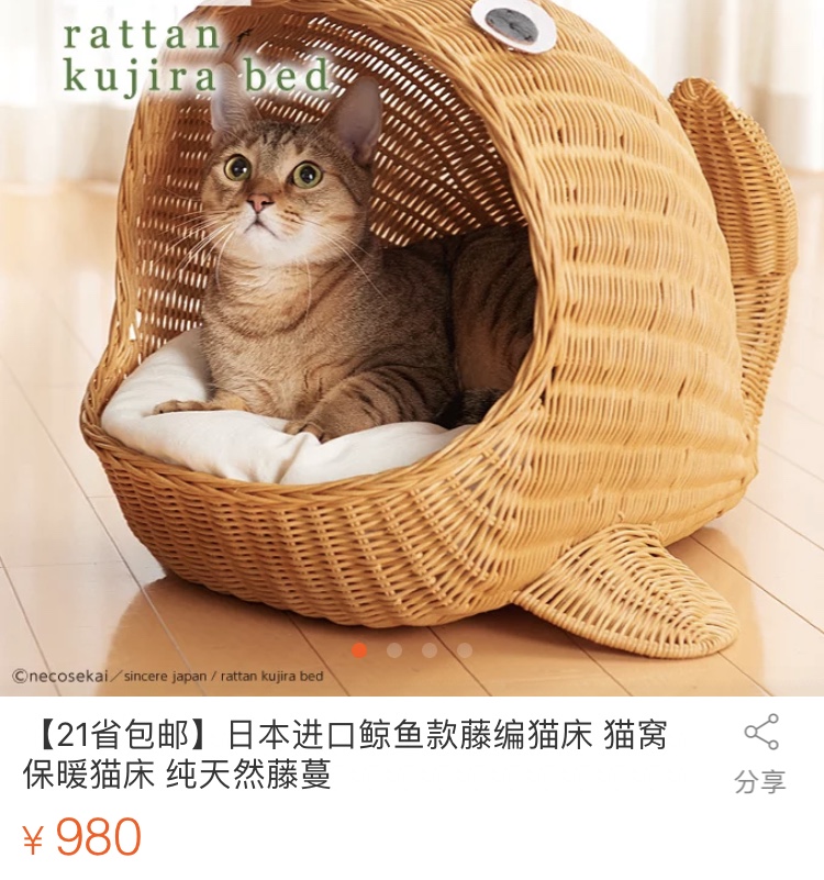 5000元猫,1000块的猫咪厕所