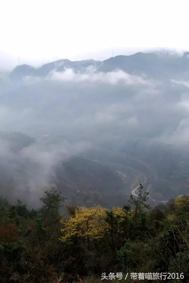 四明山该去哪,四明山观景台晚上能看风景吗