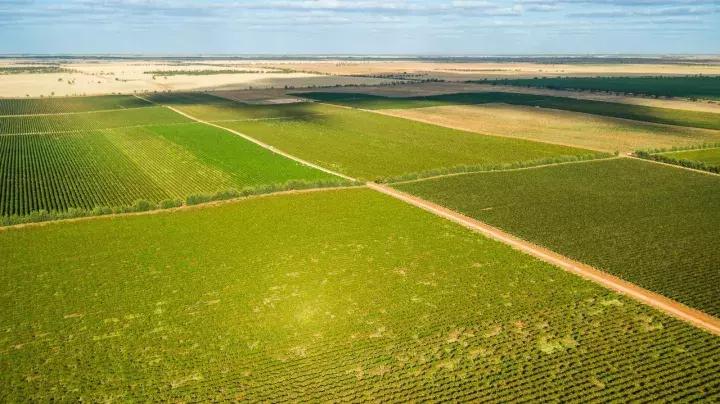 威龙有机葡萄酒巅峰之夜,威龙有机葡萄酒有几款