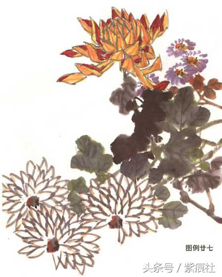 国画中球形菊花怎么画好看,名家画菊花的简单画法