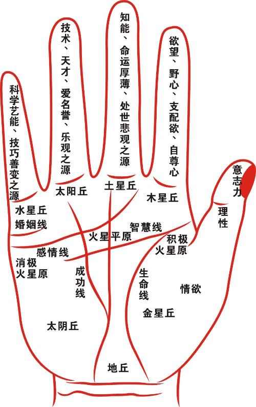 手纹能代表人的命运吗,手纹特别深代表命苦