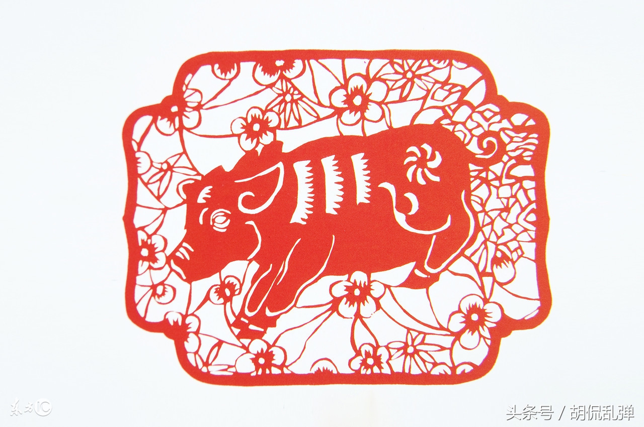 71年生肖猪今日运势,生肖猪卯时出生的运势