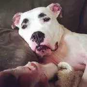 双11到了,微梦给大家精心挑选了10个美妆大号,心动了吗?