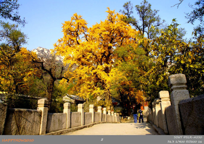 京城赏秋打卡胜地,京城赏荷最佳路线图