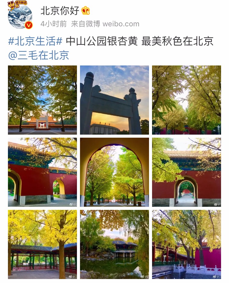 京城赏秋打卡胜地,京城赏荷最佳路线图