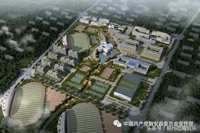 融安有望成为中心城市吗,广西融安县发展规划情况