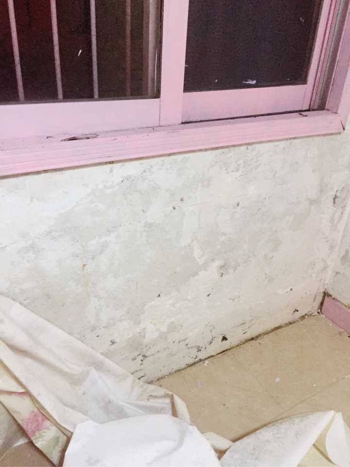 90后女孩出租屋改造日记,90后女孩买房子不装修