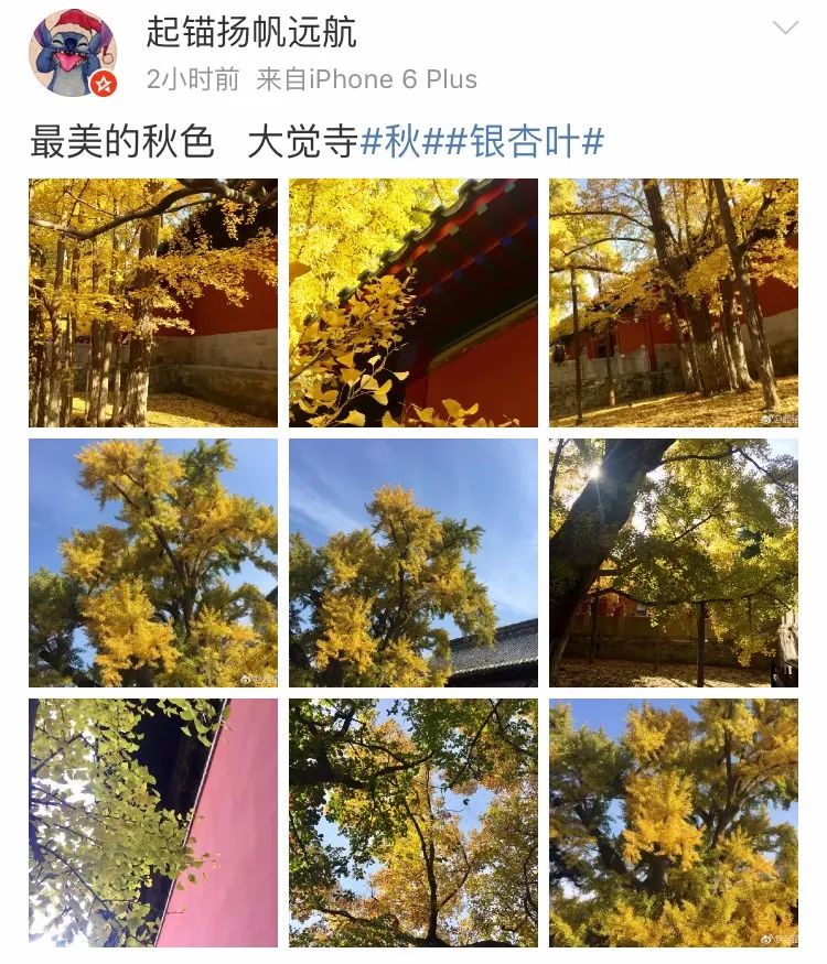 京城赏秋打卡胜地,京城赏荷最佳路线图