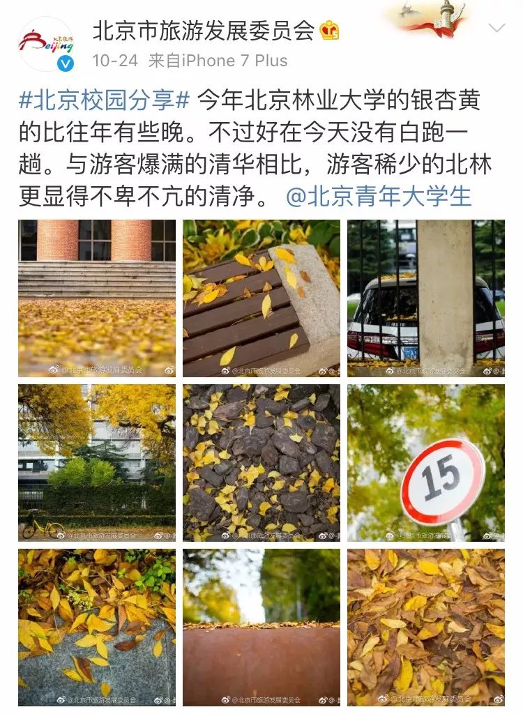 京城赏秋打卡胜地,京城赏荷最佳路线图