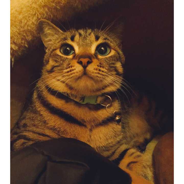 90后女孩出租屋改造日记,90后女孩买房子不装修