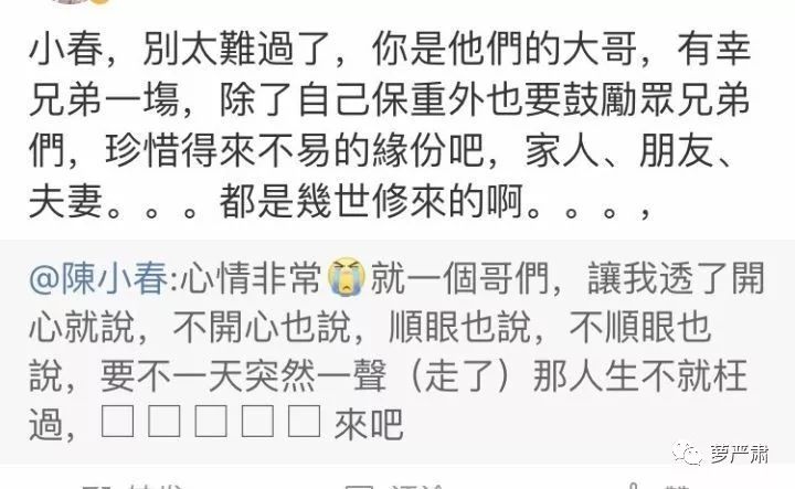 应采儿jasper为陈小春应援 (jasper看应采儿亲陈小春的眼神)