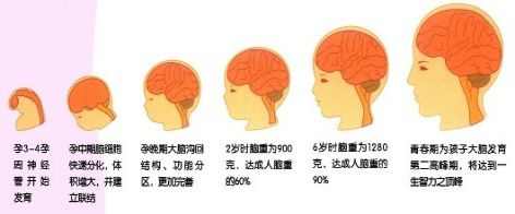 宝宝早教班要报名吗,婴幼儿早教班0-3岁