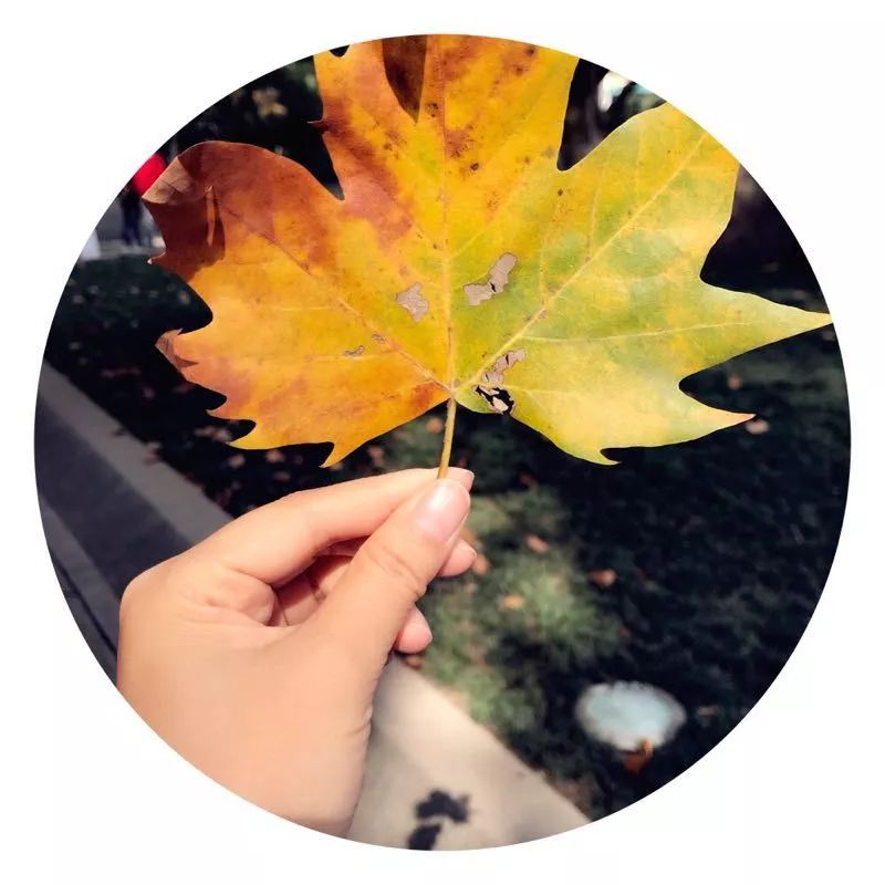 手机摄影作品赏析,手机摄影作品也可以美不胜收