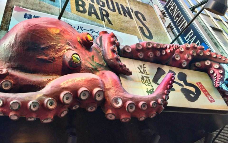 日本旅行攻略自由行,日本自由行视频攻略