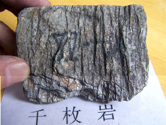 岩石由什么构成？今天我们来聊一聊