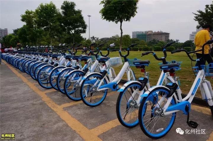 化州现在还有共享电单车吗,化州的共享单车在哪里