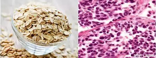 舌尖上的医疗,舌尖上的医疗篇