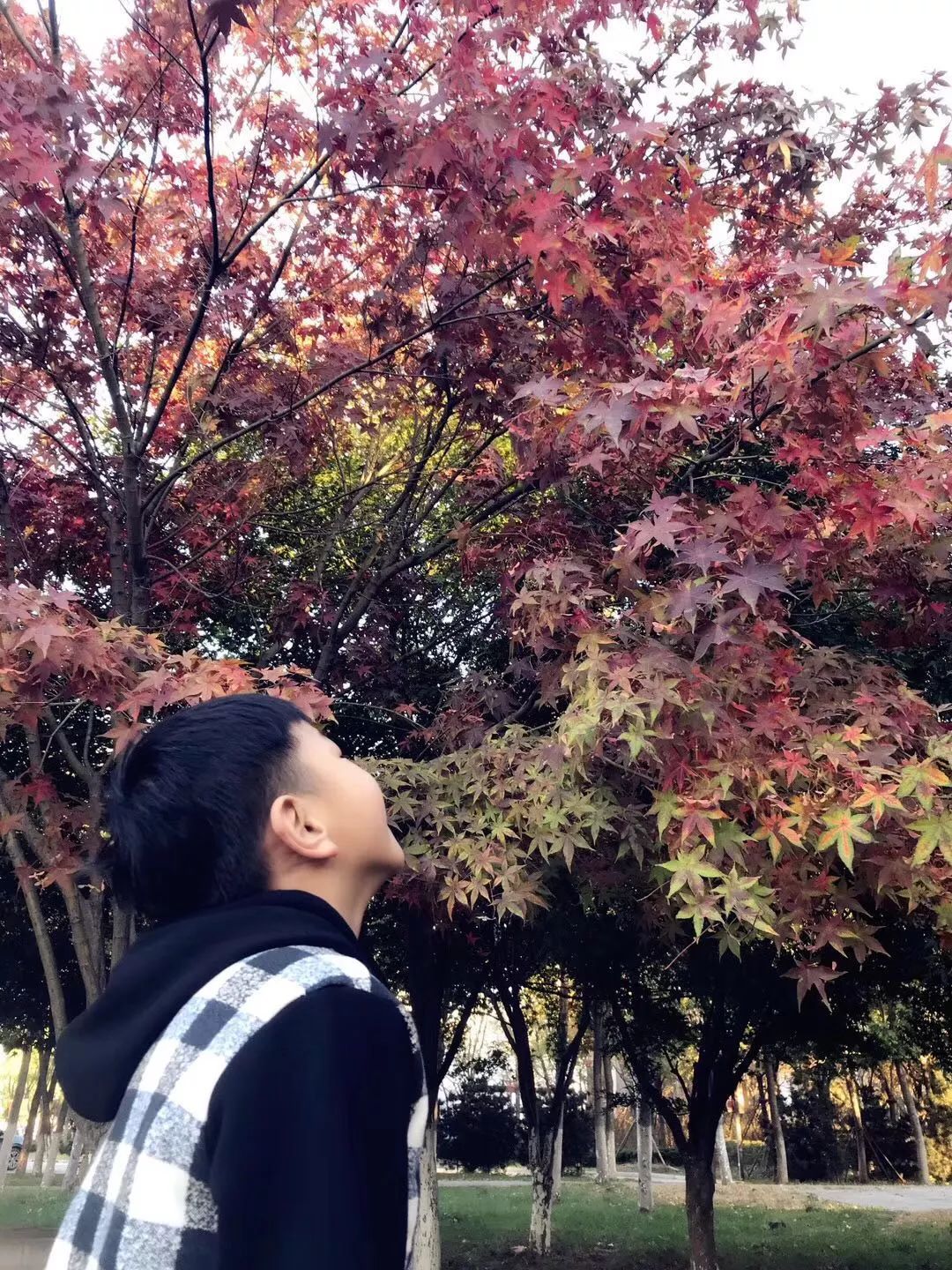 手机摄影作品也可以美不胜收,秋天手机摄影作品欣赏