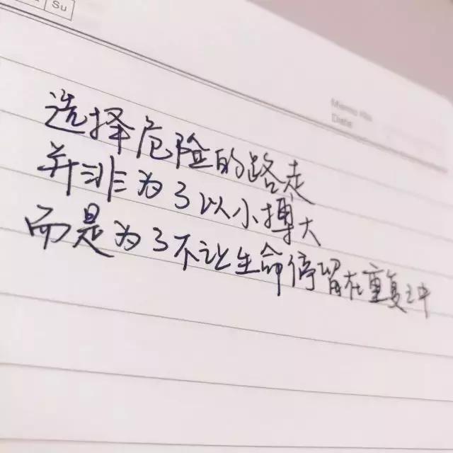 鑻忓窞缇庝笟,鑻忓窞缇庝笟澶у笀