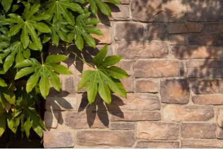 纳帕溪谷景观,汤逊湖东原纳帕溪谷别墅