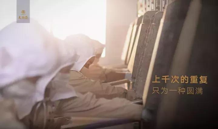 普洱茶压制的工艺流程图,中医大师徐文兵完整版