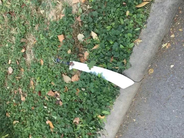 天津体育学院卫津南路51号,再见了天津视频