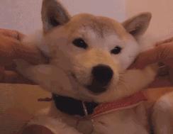 留学费用真那么低吗,有什么留学国家费用稍低