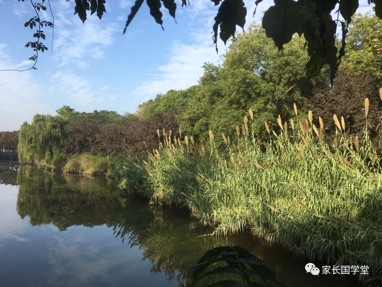 秋日偶成中程颢的人生态度,秋日偶成二首是一首什么诗