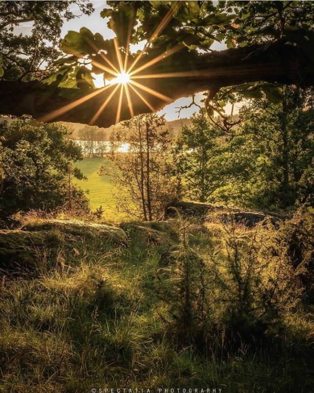 哪些手机可以拍出星芒效果,手机拍摄星芒的技巧是什么