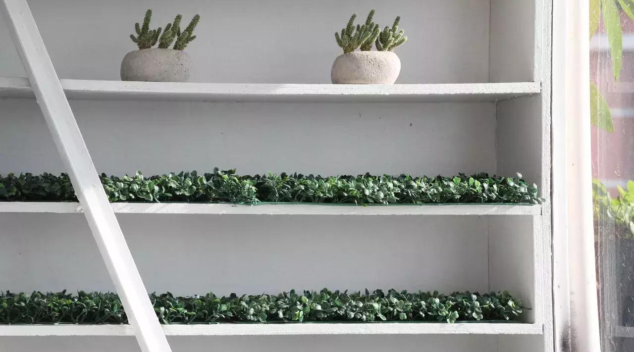 沙坡尾台湾青年,沙坡尾小店