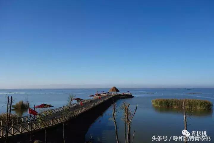 大家好这是我的家英文,大家好这是我的家图片卡通